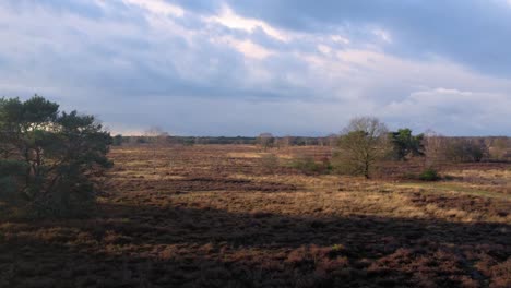 Luftaufnahme-Des-Veluwe-Nationalparks-In-Nordeuropa,-Niederlande,-Reiseziel-Für-Entdecker