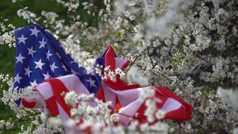 american flags in flowers on the fourth of july