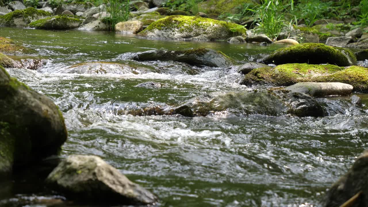 Frisk vand strømmer ned ad et smukt vandfald i en bæk midt i frodige østrigske skove.
