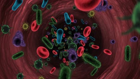 digitally generated virus cells, red blood cells and bacteria flowing through artery