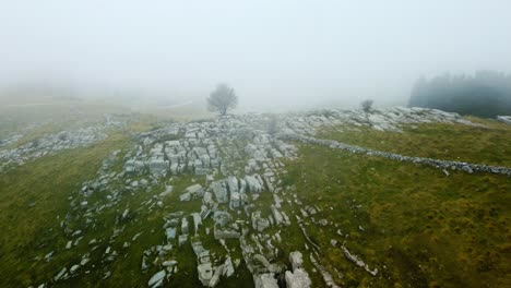 árbol-Solitario-En-Un-Paisaje-De-Niebla-Cinematográfica-En-Las-Montañas