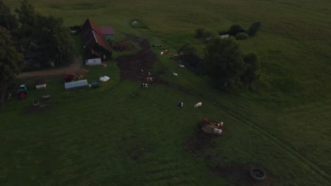 the drone orbits to the left around a farm scene during sunset, showcasing grazing cattle and rural structures.
