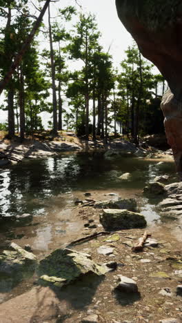 stream flowing through rocky forest