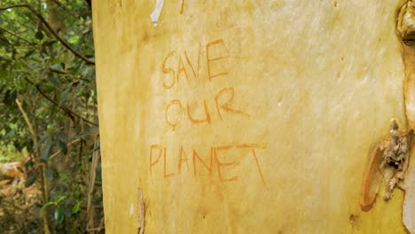 4k wide shot of an anti-deforestation protest sign carved into a rain forest tree. we see "save our planet" etched into the bark. contains trees, jungle, bark, leaves, 4k, protest sign, green, nature,
