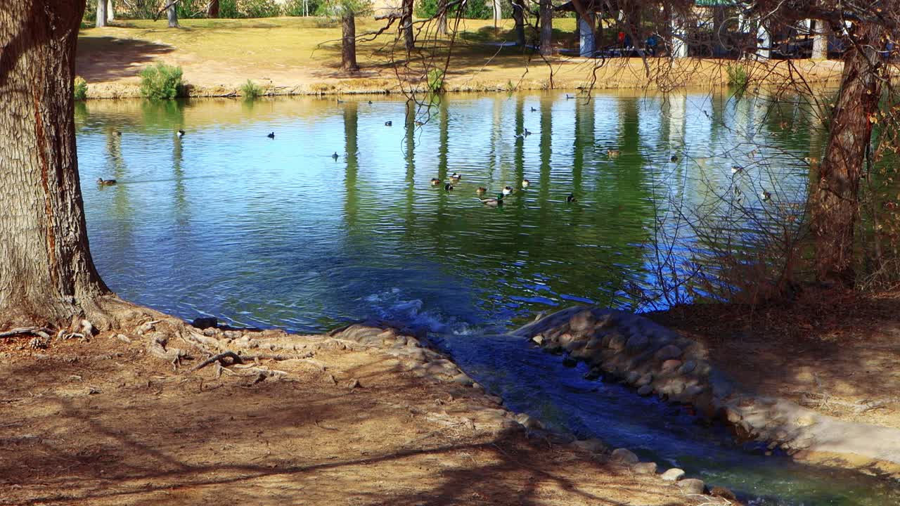 arroyo lento y estanque de aves acuáticas en primavera
