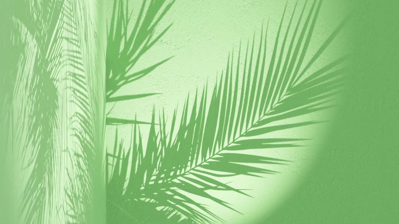 Green textured wall with palm frond shadow waving in wind on back, vertical