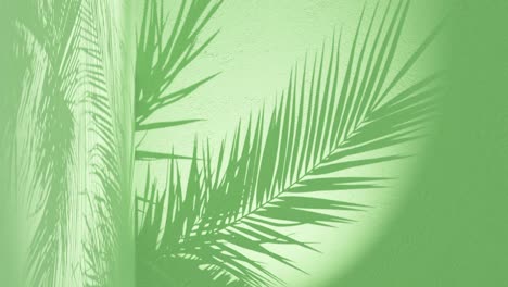 Green-textured-wall-with-palm-frond-shadow-waving-in-wind-on-back,-vertical
