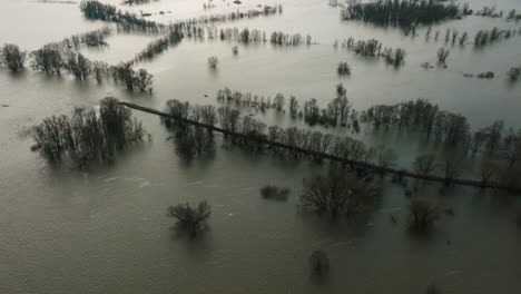 Drohnenansicht-Einer-Mit-Wasser-Gefüllten-Aue-Entlang-Des-Flusses-Waal-In-Varik,-Gelderland,-Niederlande