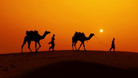 Cameleers,-camel-Drivers-at-sunset.-Thar-desert-on-sunset-Jaisalmer,-Rajasthan,-India.