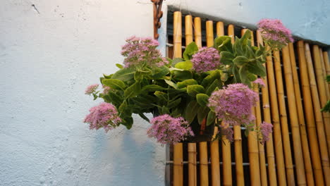 Pink-flowering-potted-hanging-plant-on-outdoor-patio-near-bamboo-window-covering,-4K