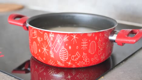 red christmas pot on stovetop