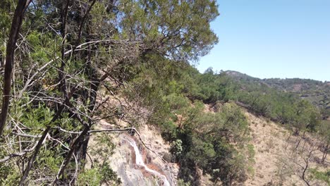 Move-through-Scrub-Plants-and-Trees-at-Nilgiri-Mountain-Reserve,-outside-Ooty,-Tamil-Nadu,-India