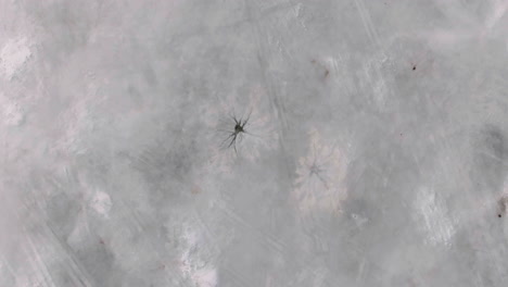birdseye aerial view of ice crack in frozen lake, abstract winter patterns, high angle drone shot