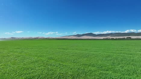 flying over a bright green grassland by the mountains - aerial