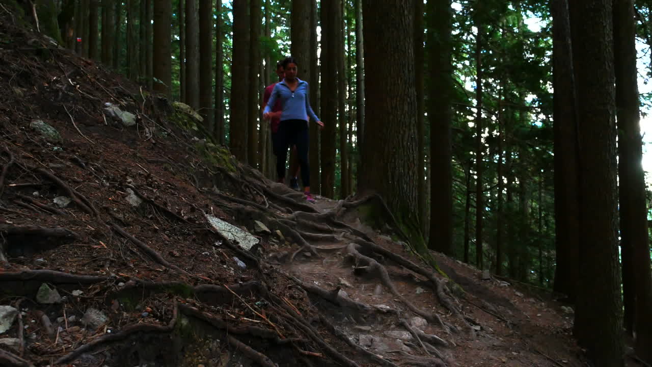 Hiker couple hiking in forest