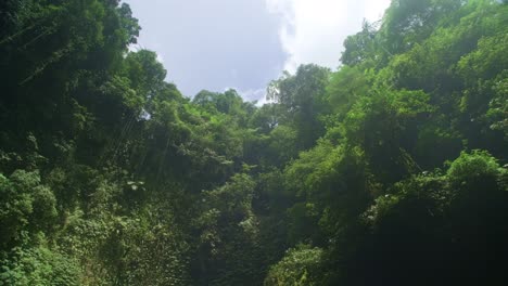 peaceful waterfalls of north bali: nature's tranquil retreat