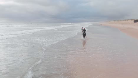 imágenes de drones de un hombre montando un caballo con un surfista saliendo del agua