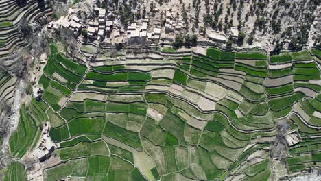 volando sobre casas fangosas y tierras de cultivo