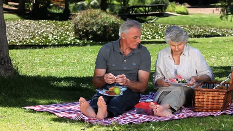 anciana festejando en un picnic con su marido