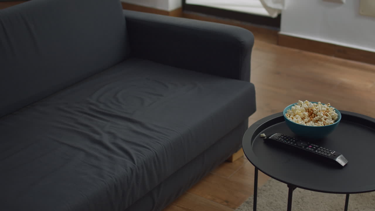 Empty living room furnished with comfortable couch