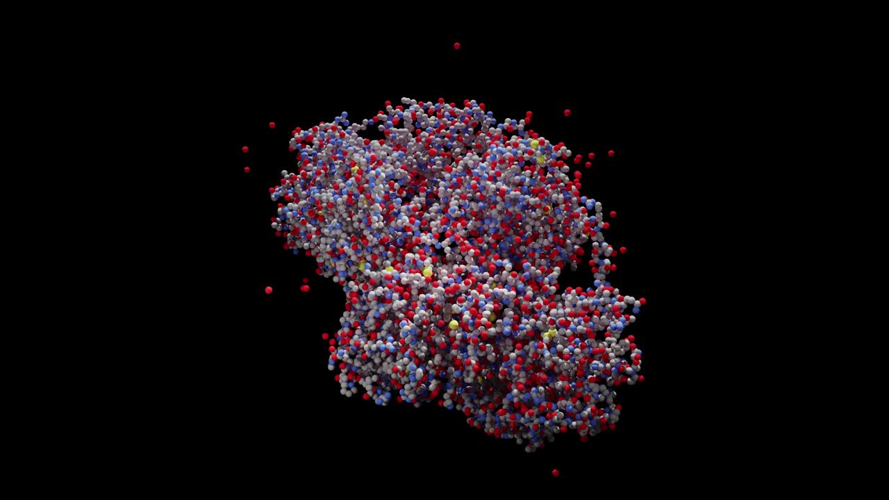Virus dell'Epatite C