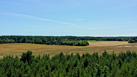 flying sideways over trees and fields during midday