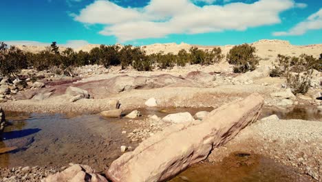 a-canyon-with-a-river-between-mountains-and-palm-trees