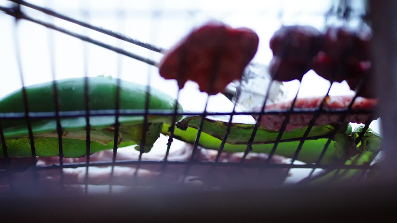 Grilled Vegetables and Meat