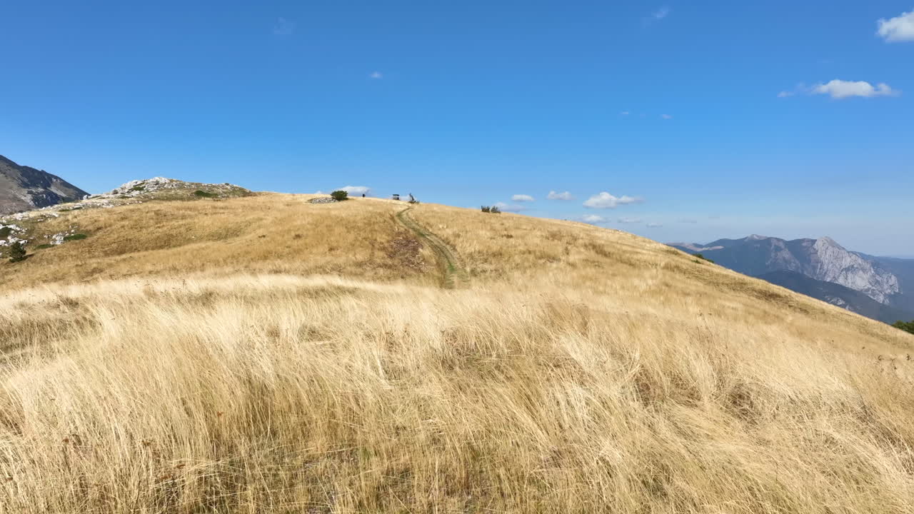 полет над травянистыми горными равнинами