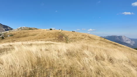 flight over grass-covered mountain plains