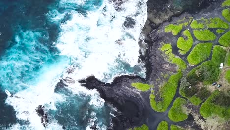 drone aerial beach landscape green hawaii waves