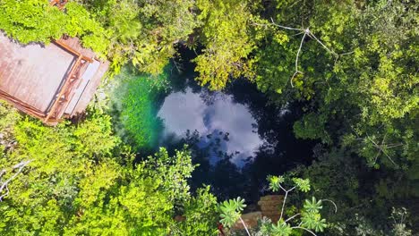 a blue hole in the middle of the jungle, cenote