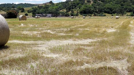 frische heuballen, die zu großen rollen zusammengerollt sind, mehrere davon auf einem feld, einer in großaufnahme im vordergrund, der rest dahinter, während die kamera sich langsam neigt und schwenkt und den blick auf grüne hügel freigibt