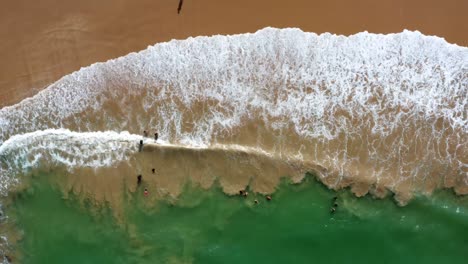 hermosa vista de pájaro de la parte superior aérea derecha de camiones de una playa tropical exótica en tabatinga cerca de joao pessoa, brasil en un cálido día de verano