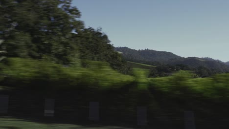 Drive-by-of-vineyards-in-Sonoma,-California-at-Sunrise