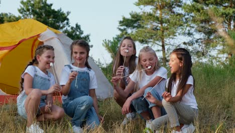 a group of children girls schoolgirls in the park on a picnic with phones a group of children girls schoolgirls in the park on a picnic with phones in their hands