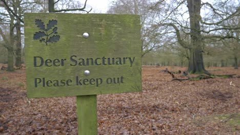 deer sanctuary please keep out conservation warning sign in woodland