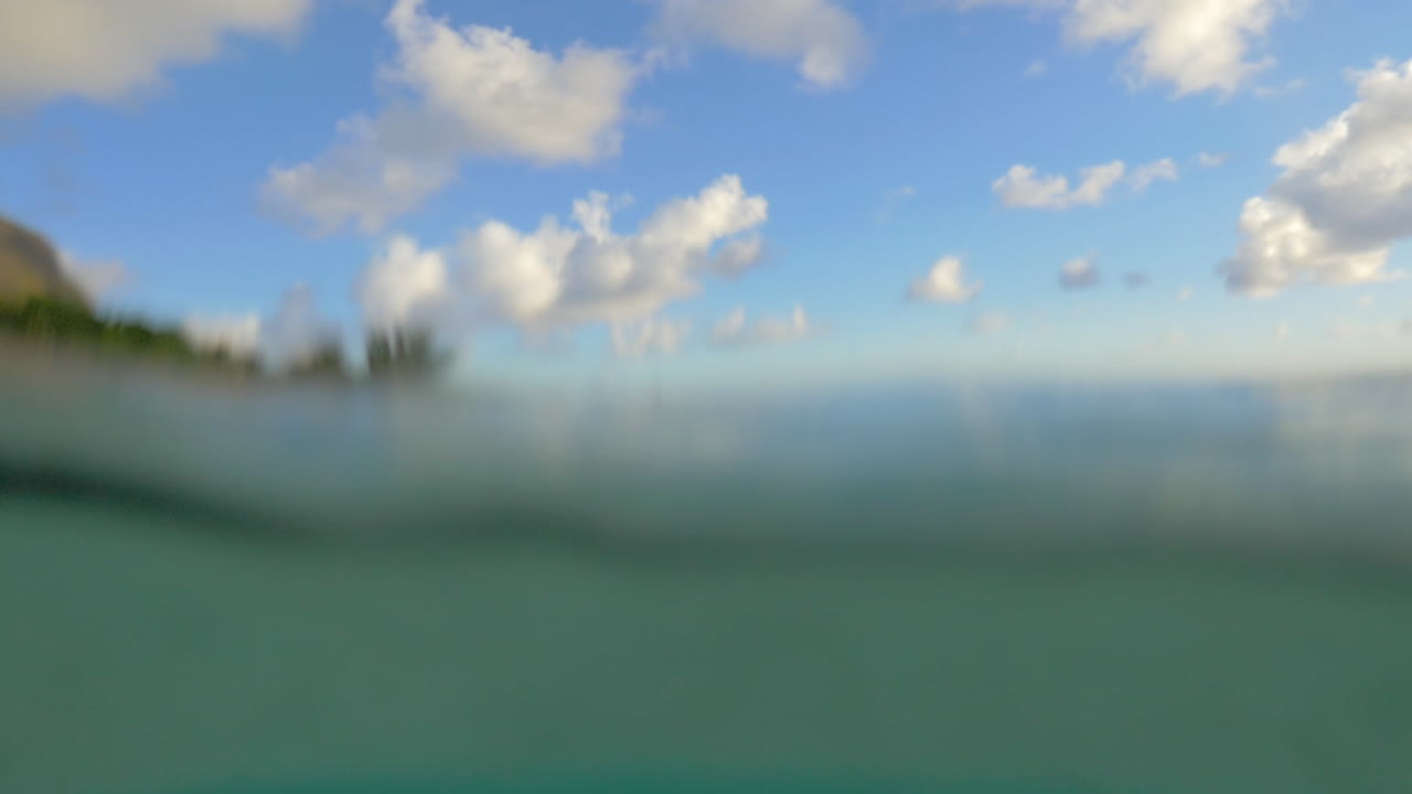 은 푸른 바물과 열대 섬