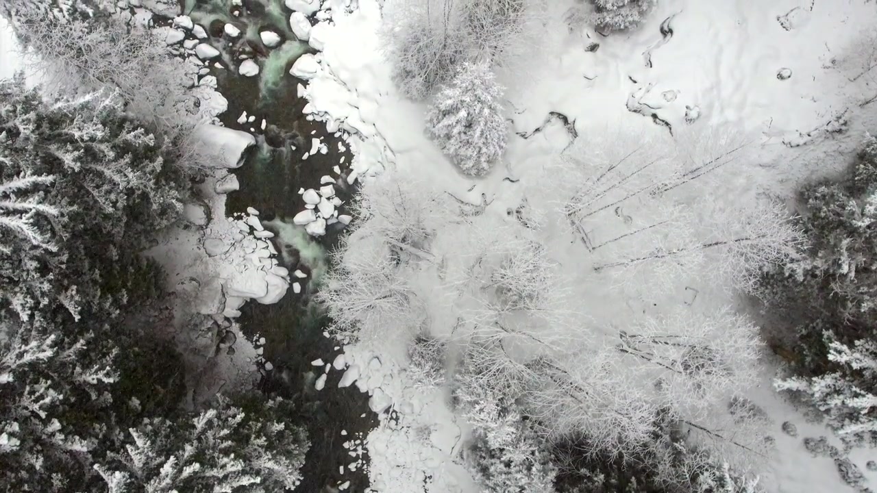 Vista aerea di un fiume che scorre attraverso una foresta innevata