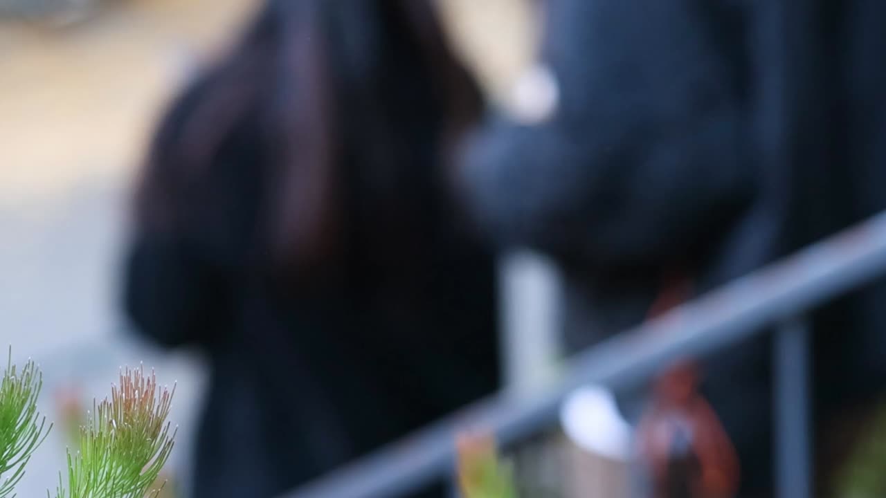 Out of focus individuals descend outdoor stairs behind sharp green plant needles in the foreground