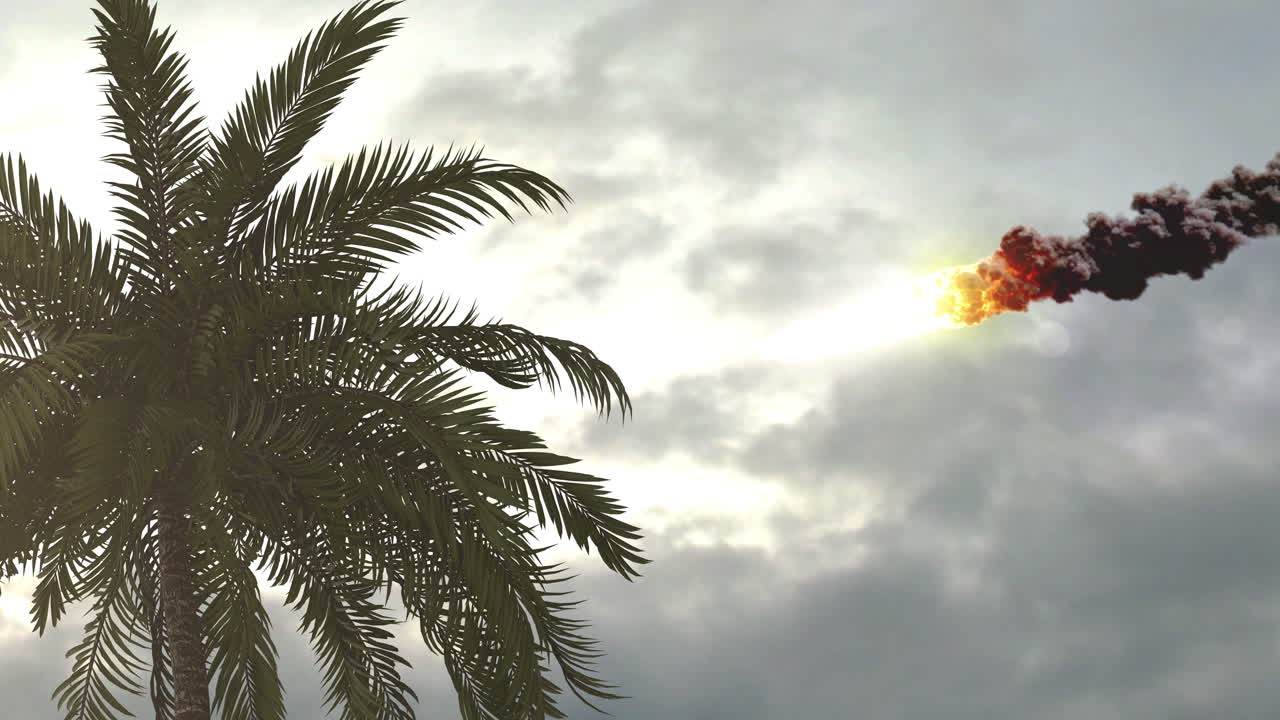 Meteor over Palm Trees