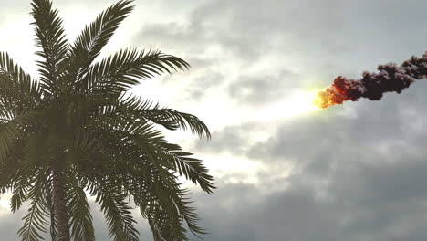 meteor over palm trees