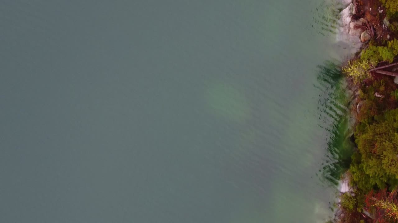 Drone footage of Colchuck Lake coast; water, rocks, alpine trees, moss, and wet soil near The Enchantments in Washington's Cascade Mountain Range - Top down view, slow pan along coast
