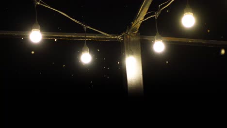 insectos atraídos por las bombillas de luz por la noche