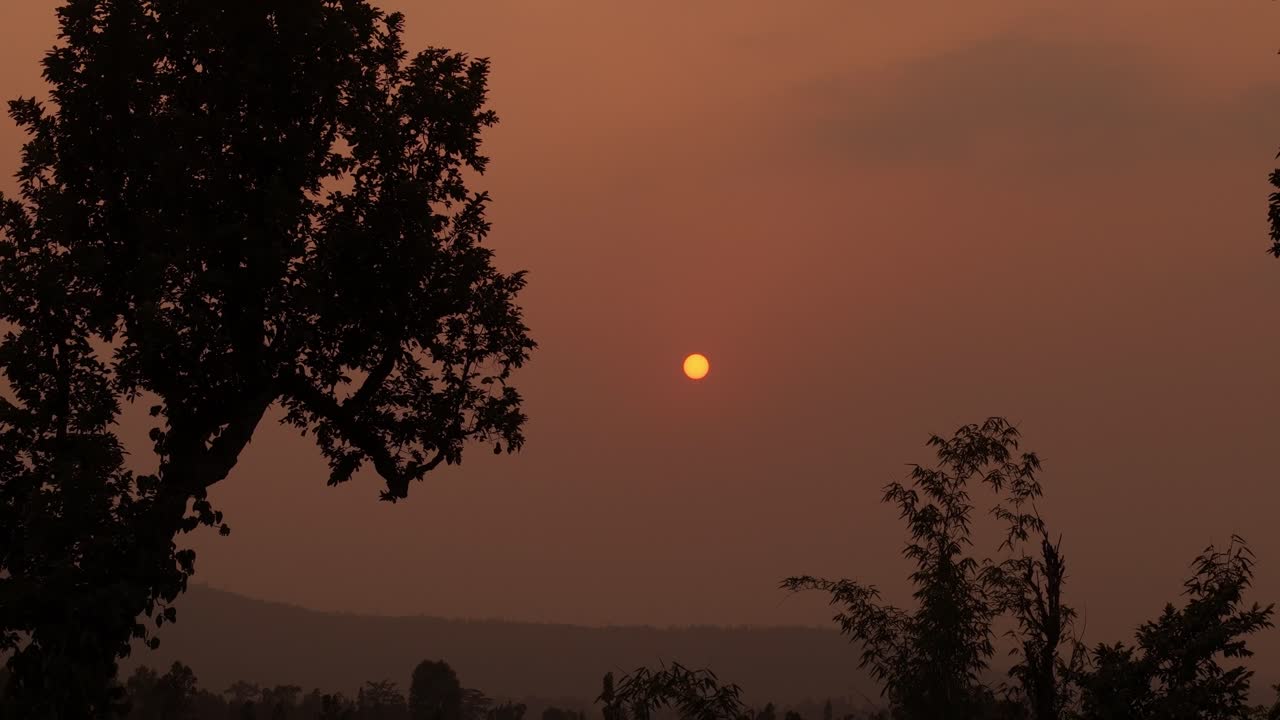A warm sunset casts golden light behind the silhouettes of trees, creating a tranquil and scenic view of nature’s beauty at dusk in a quiet forest or countryside setting.