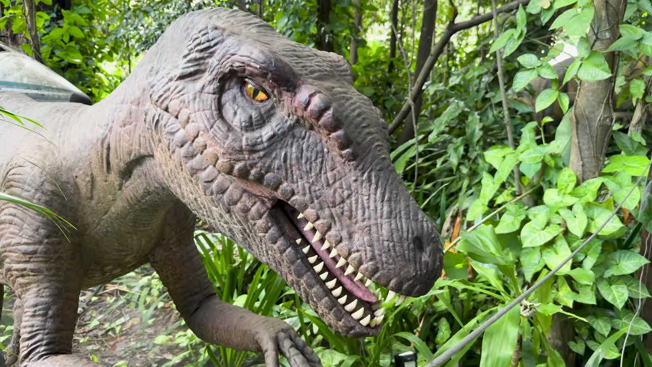 Animatronic Tyrannosaurus head turns and opens mouth in bright, natural forest environment, handheld camera