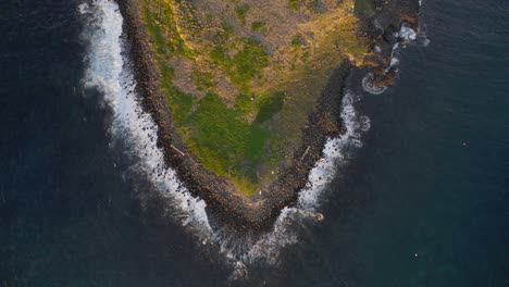 bird's eye view over cook island with rocky shore in nsw, australia - drone shot