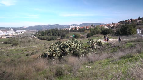 Ladera-De-La-Montaña-Con-Cactus-Cactus-En-Israel