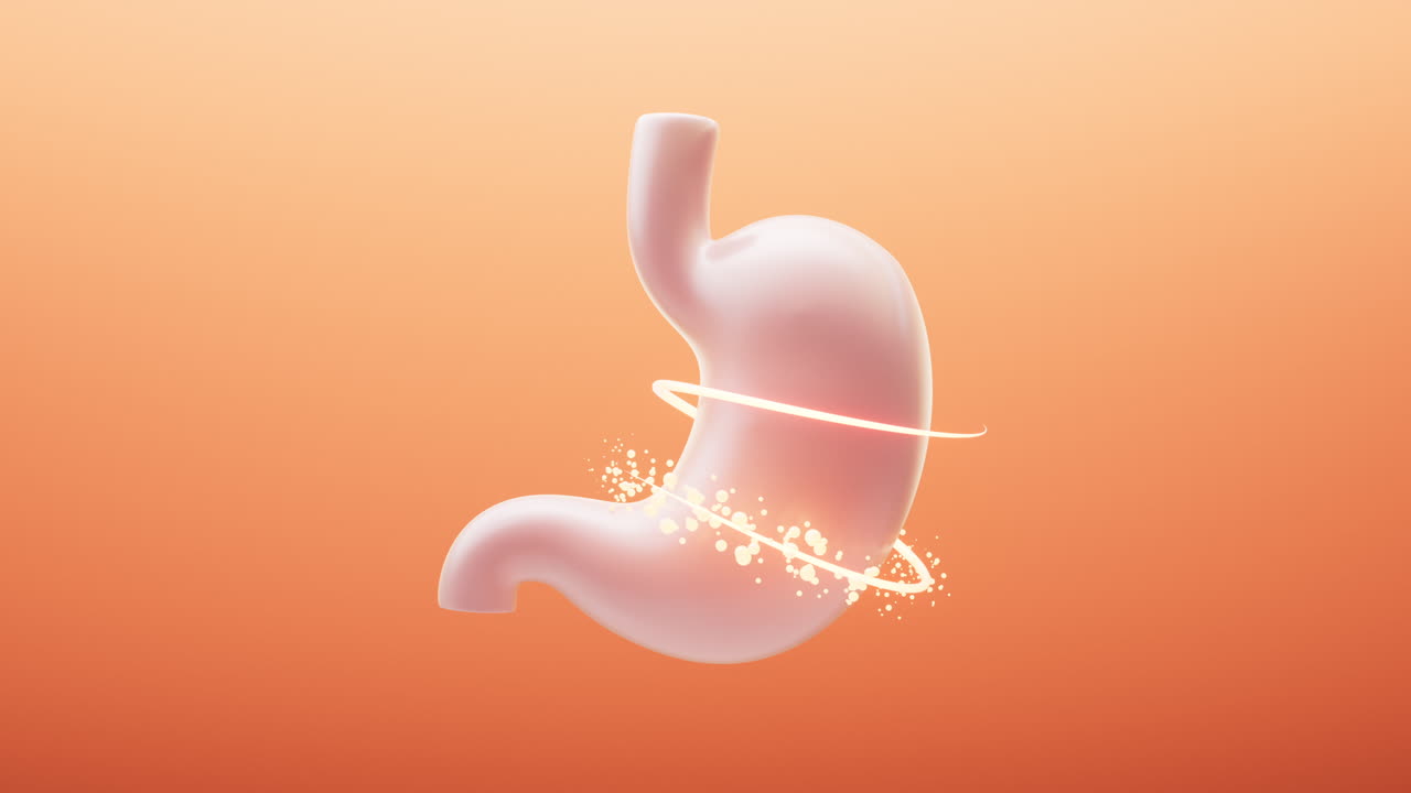 Stomach and nutrient absorption, 3d rendering.