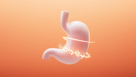 el estómago y la absorción de nutrientes, renderización en 3d.